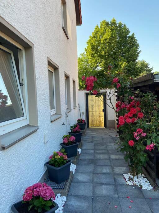 Bronzetaler Apartment Bad Harzburg Exterior photo